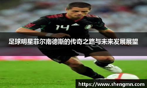足球明星菲尔南德斯的传奇之路与未来发展展望